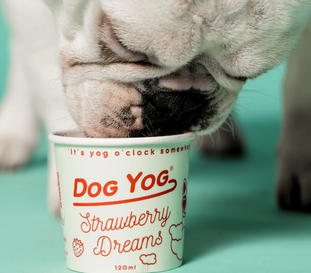 Ice Cream for Dogs