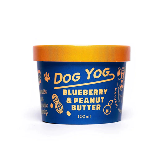 Ice Cream for Dogs